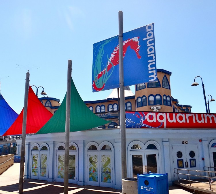 Heal the Bay Aquarium (Santa&nbspMonica,&nbspCA)